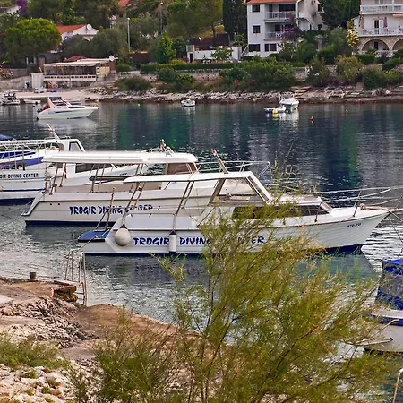 Clematis Trogir