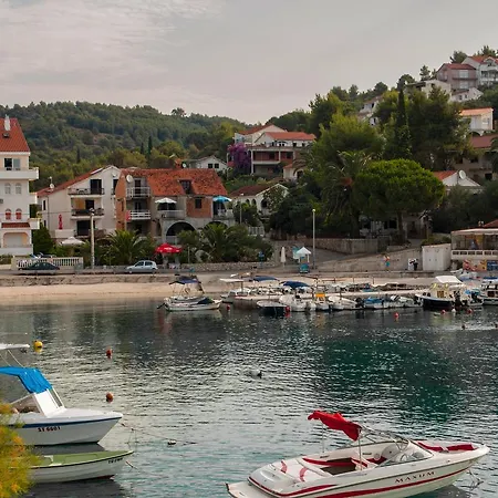 Clematis * Trogir