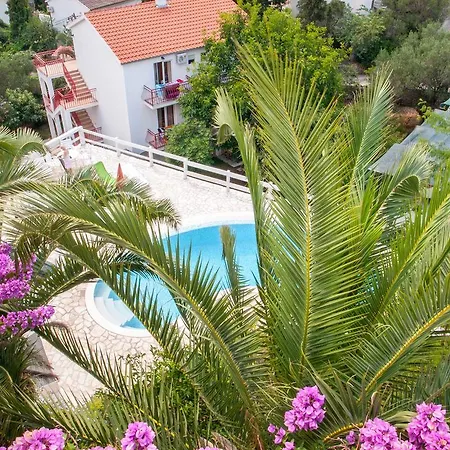 Clematis * Trogir