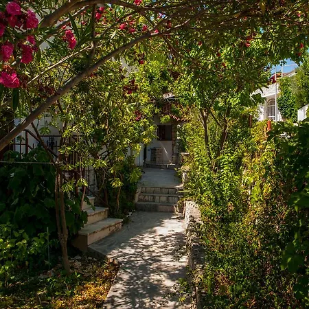 Apartment Clematis Trogir