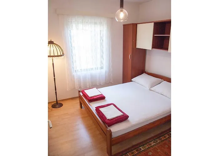 Clematis 트로기르